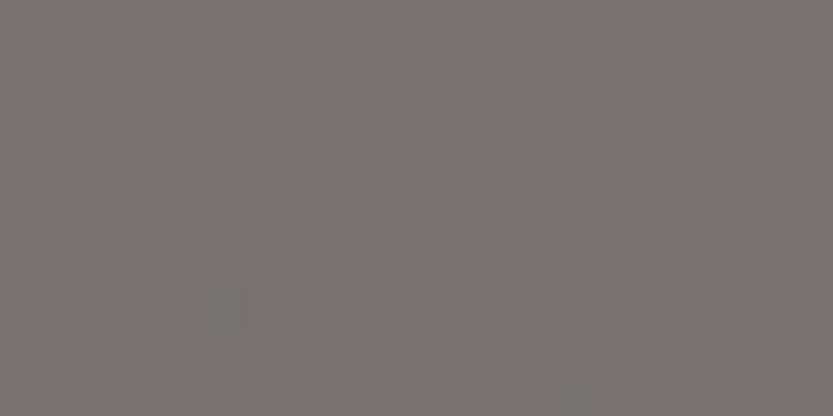 Billede af Rako Color One Mørk Grå Blank Væg 198x398 mm