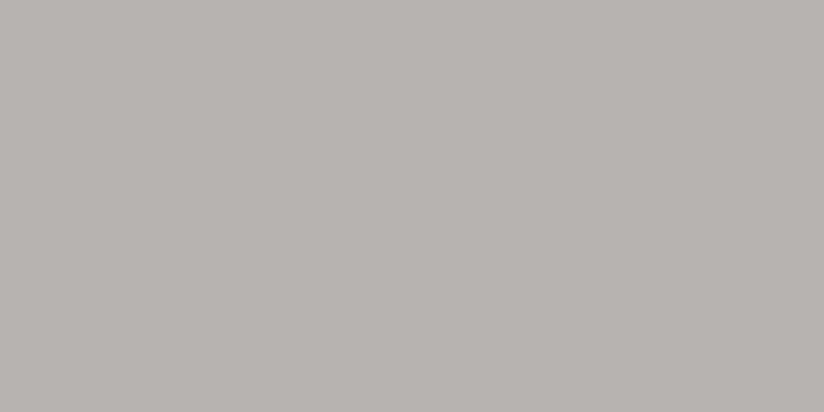 Billede af Rako Color One Grå Blank Væg Rekt. 298x598 mm