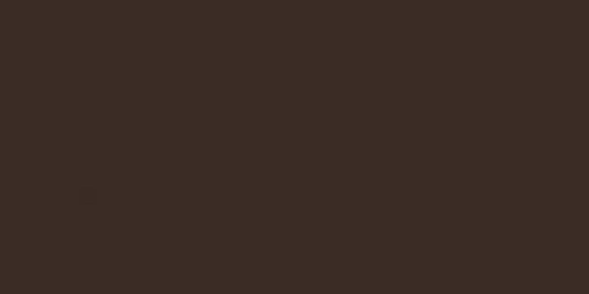 Billede af Rako Color One Mørk Brun Blank Væg 198x398 mm