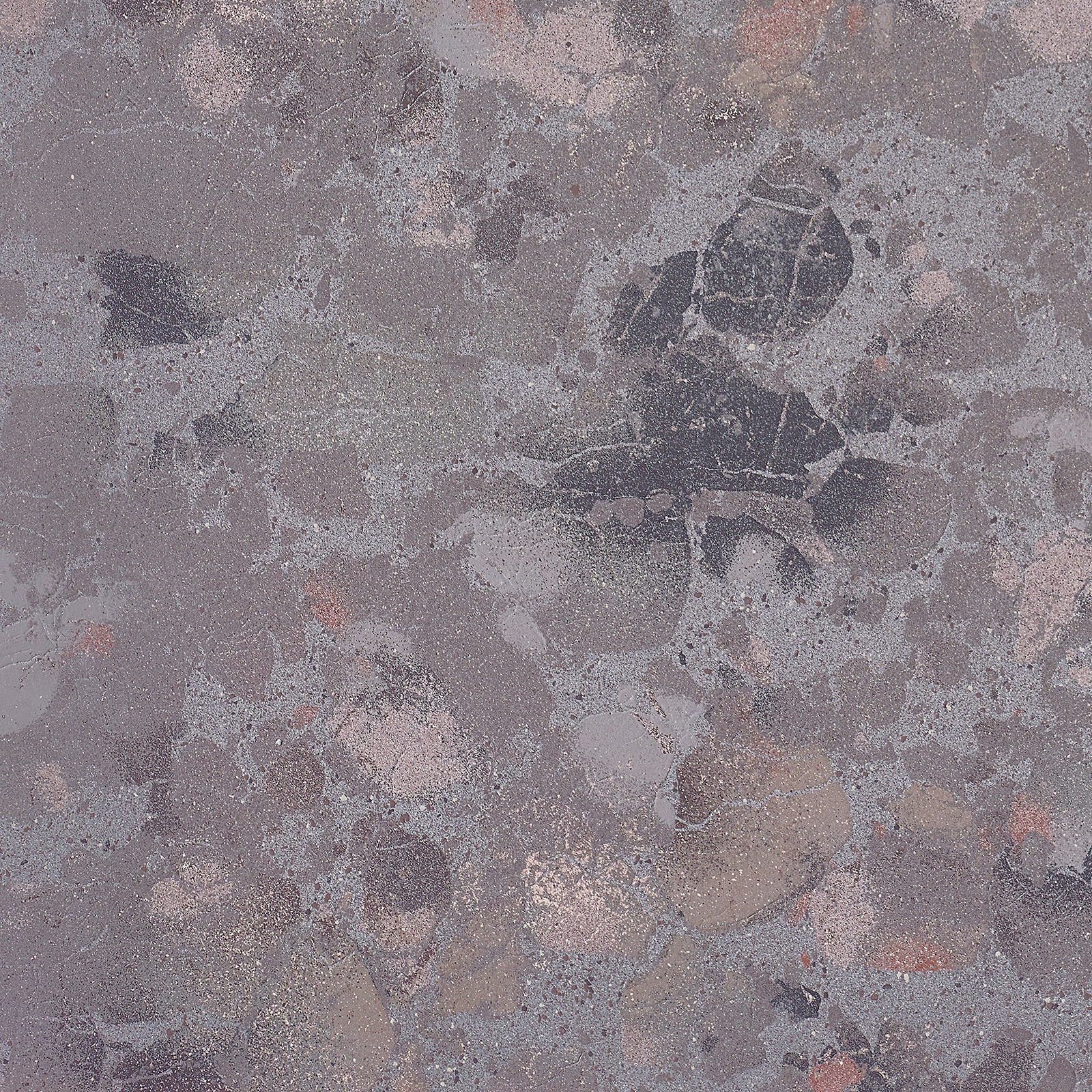 Attitude Dark Grey 60x60 cm (RM - Mat) │ Colour Ceramica A/S