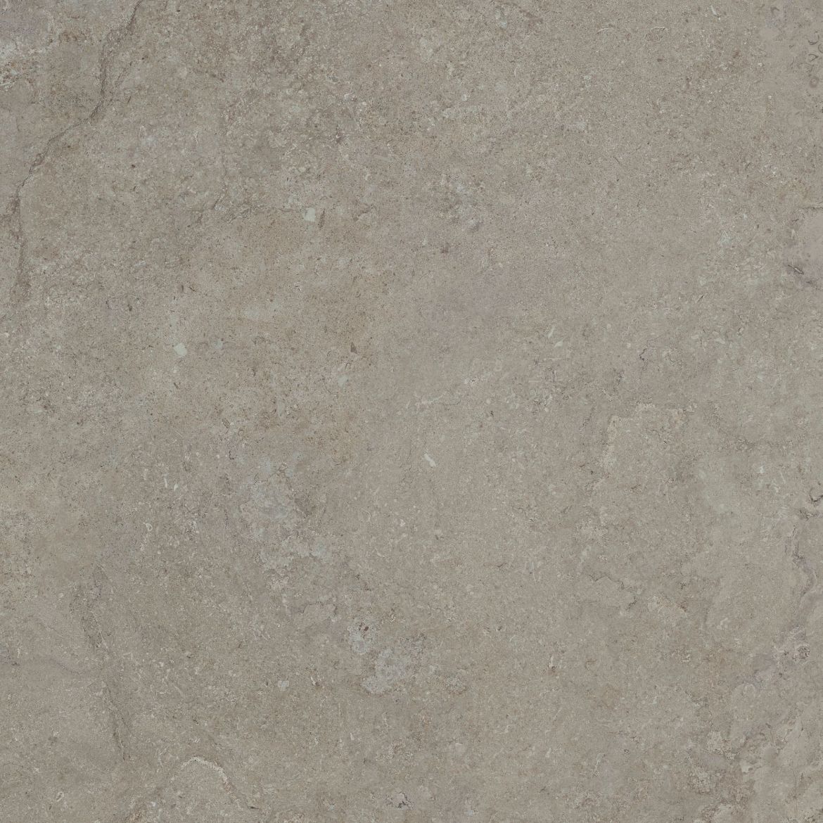 Billede af Softstone Greige 598x598 mm