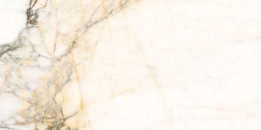 Billede af Aesthetica Calacatta Paonazzo 60x120 cm (LPM - Matpoleret)