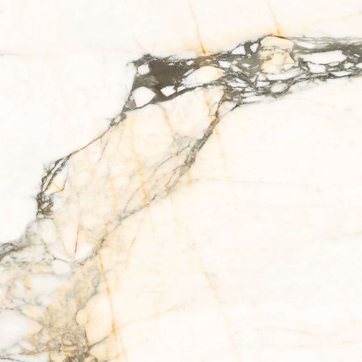 Billede af Aesthetica Calacatta Paonazzo 120x120 cm (LPM - Matpoleret)