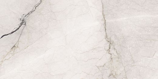 Billede af Aesthetica Camouflage 60x120 cm (LP - Poleret)