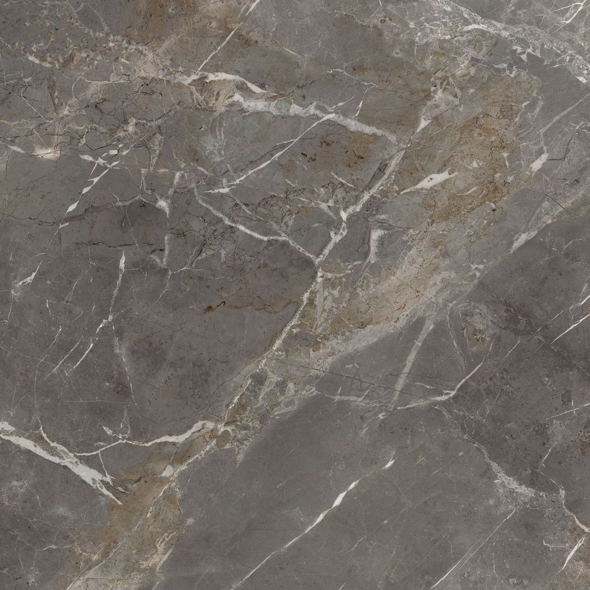 Billede af Aesthetica Collemandina 120x120 cm (LPM - Matpoleret)