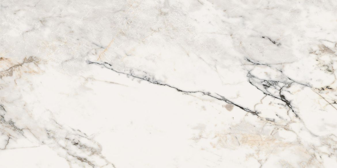 Billede af Aesthetica Paonazzetto 60x120 cm (LP - Poleret)