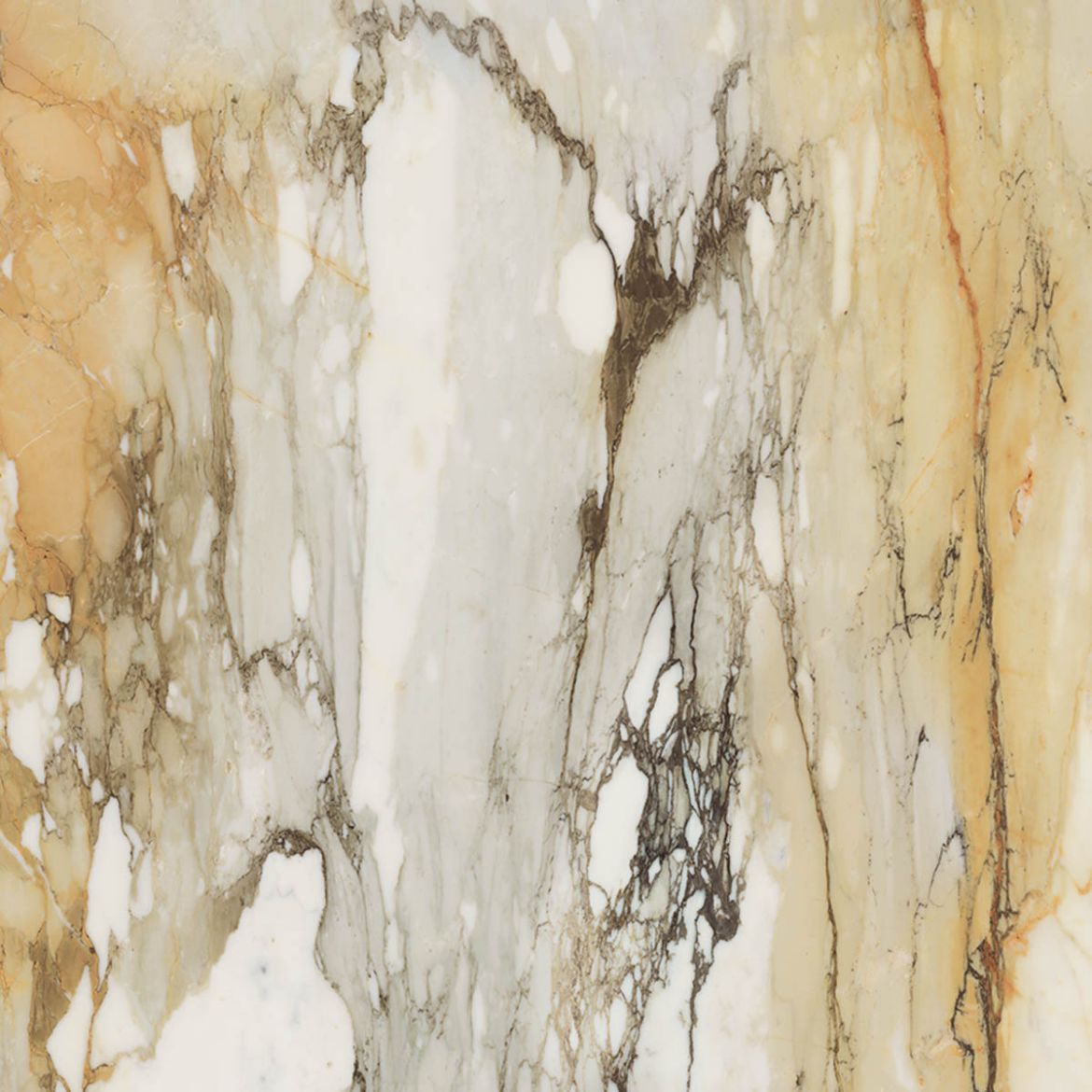 Billede af Bianco Calacatta Macchia Vecchia 90x90 cm (RM - Mat)