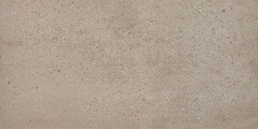 Billede af Overcome Greige 60x120 cm (LLL - Højglanspoleret)