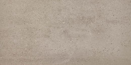 Billede af Overcome Greige 60x120 cm (LLL - Højglanspoleret)