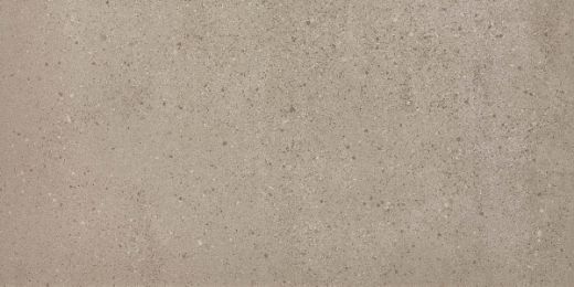 Billede af Overcome Greige 60x120 cm (LLL - Højglanspoleret)