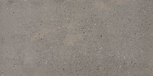 Billede af Overcome Grey 60x120 cm (R - Ru)