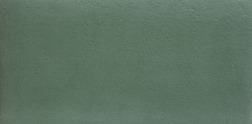 Billede af Cromia Avocado 30x60 cm (B - Blank)