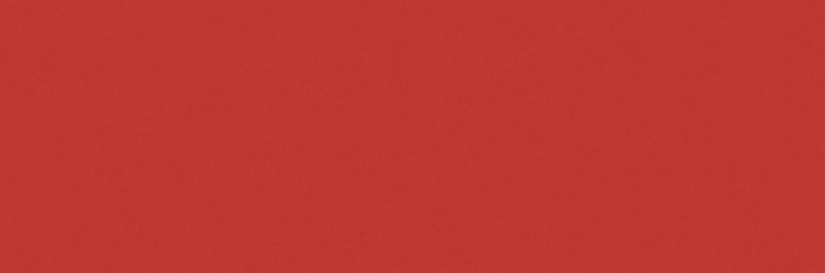 Billede af Croma Driftwood Blank Væg 10x30 cm