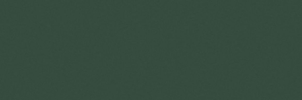 Billede af Croma Kelp Blank Væg 10x30 cm