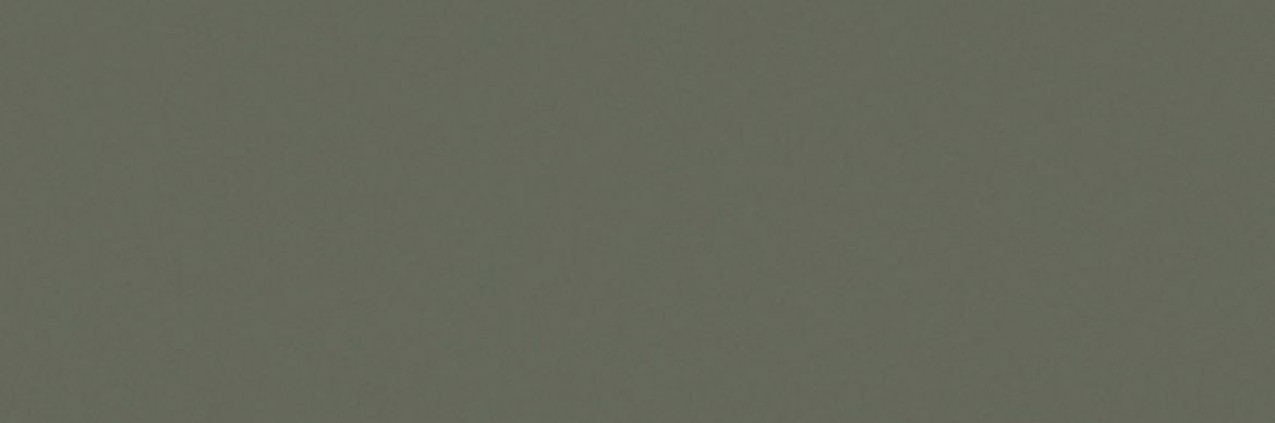 Billede af Croma Spruce Mat Væg 10x30 cm