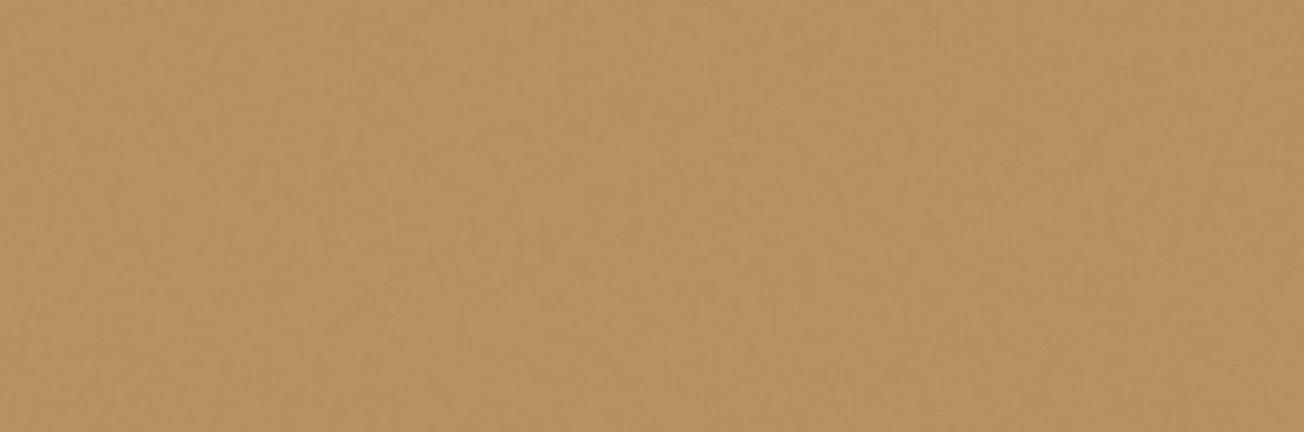 Billede af Croma Pollen Mat Væg 10x30 cm