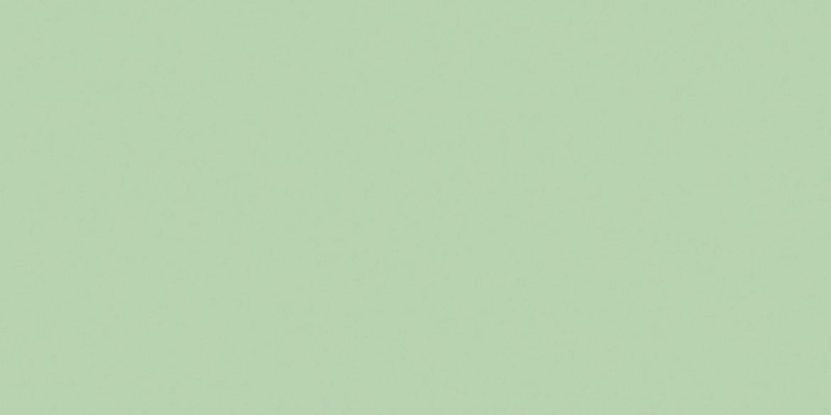 Billede af Mono Pistaciegrøn Mat Gulv/Væg 97x197 mm